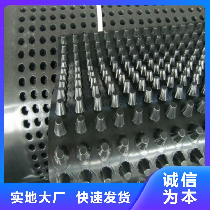 排水板正规厂家
