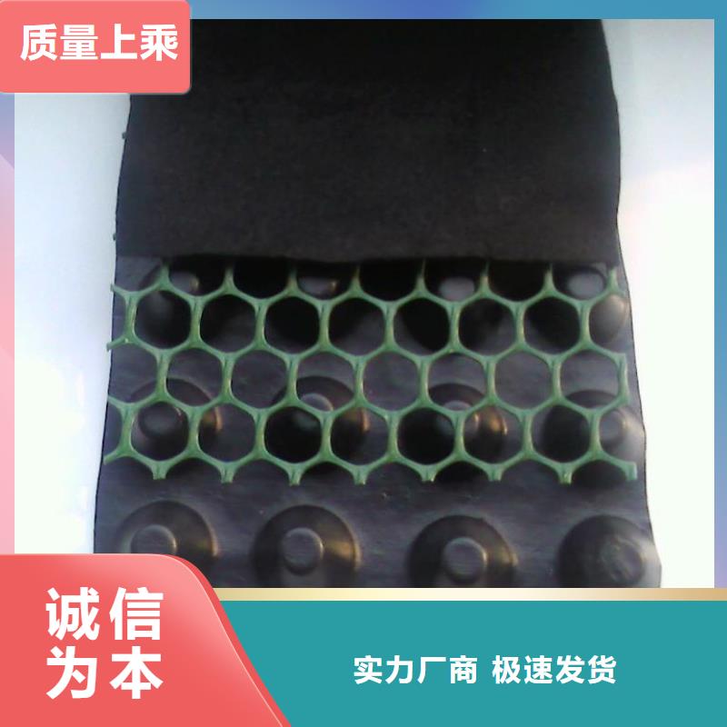 排水板现货销售