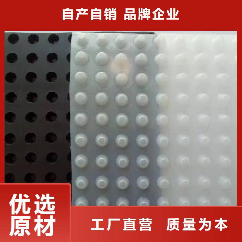 排水板正规厂家