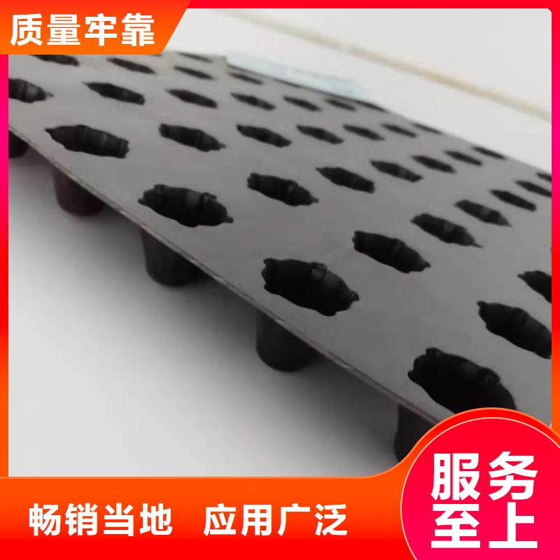 排水板源头供应商