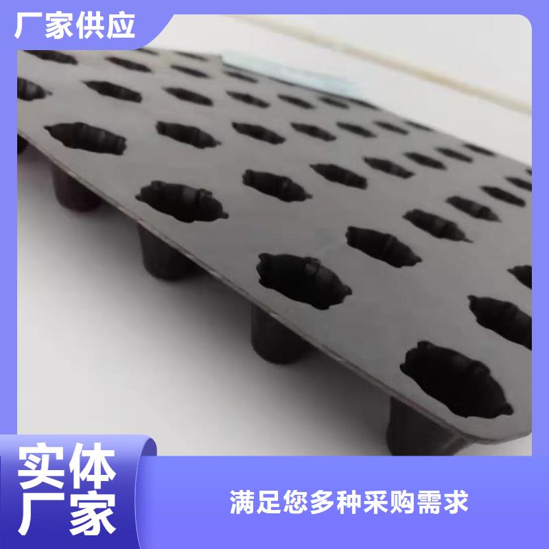 排水板海量货源
