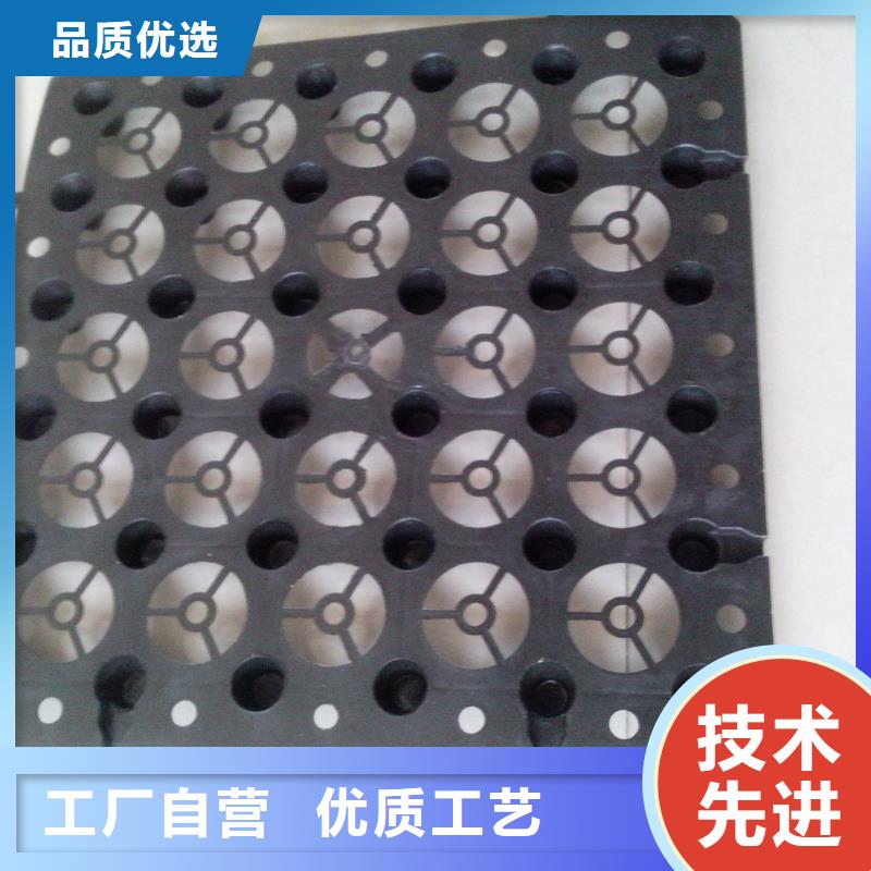 排水板厂家-质量可靠