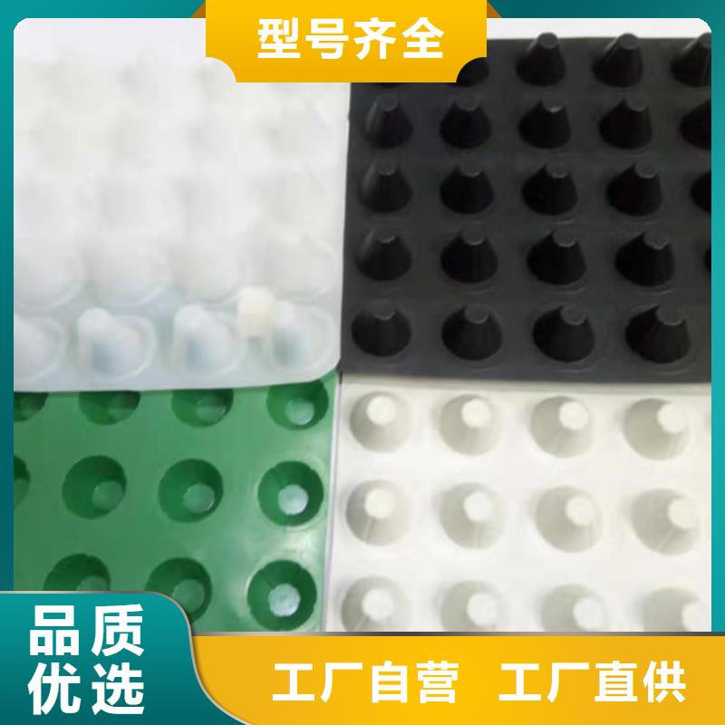 供应批发土工格栅-现货供应