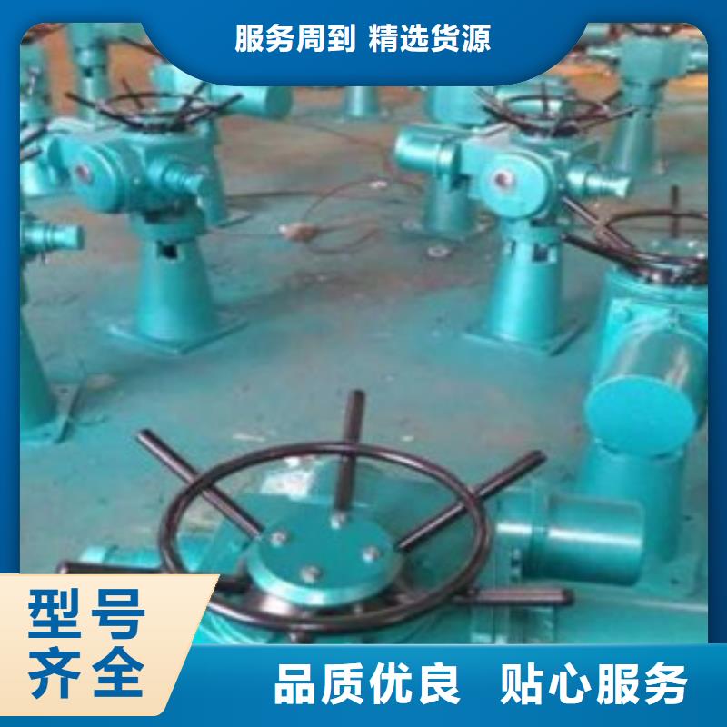 启闭机十余年厂家
