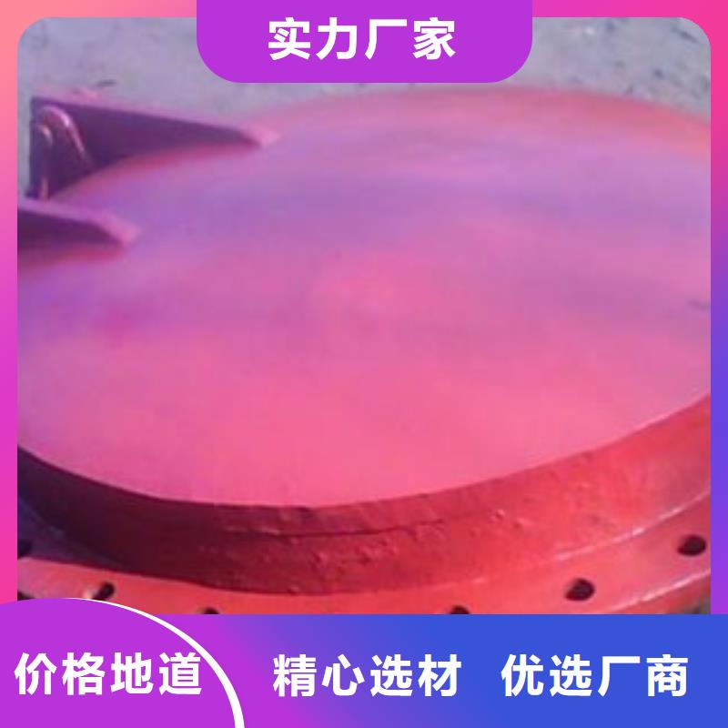 拍门生产厂商精工细作品质优良