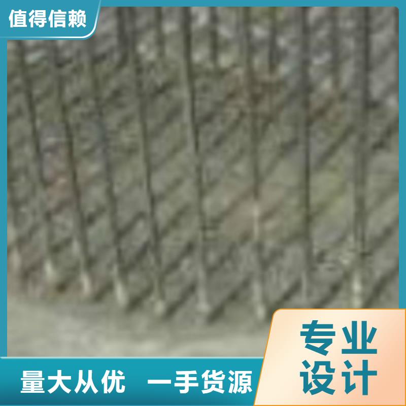 ：特种砂浆供应商当地货源