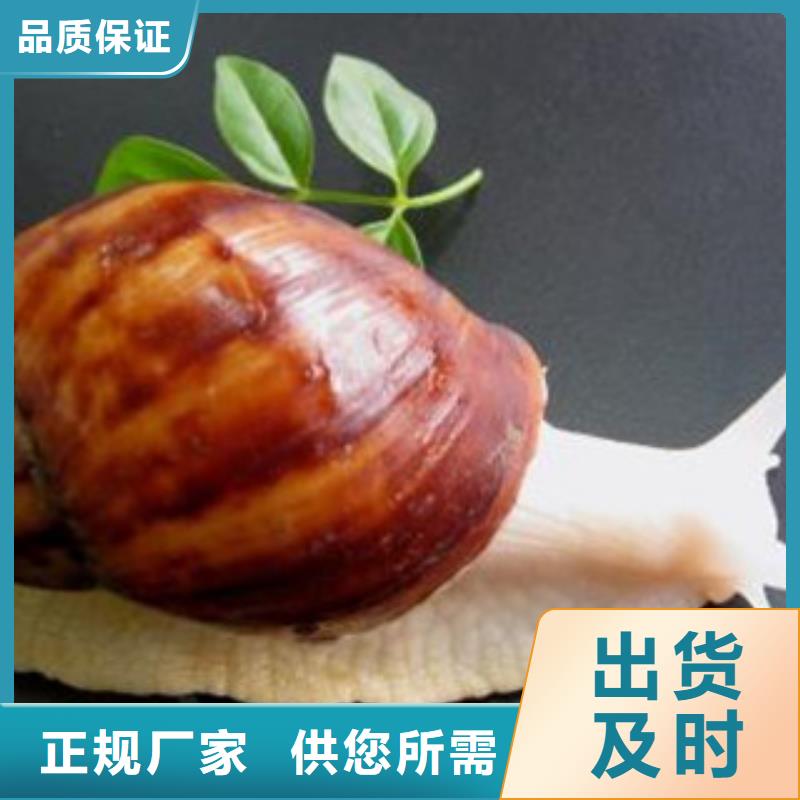 2025性价比高的#无醇燃料厂家#服务好