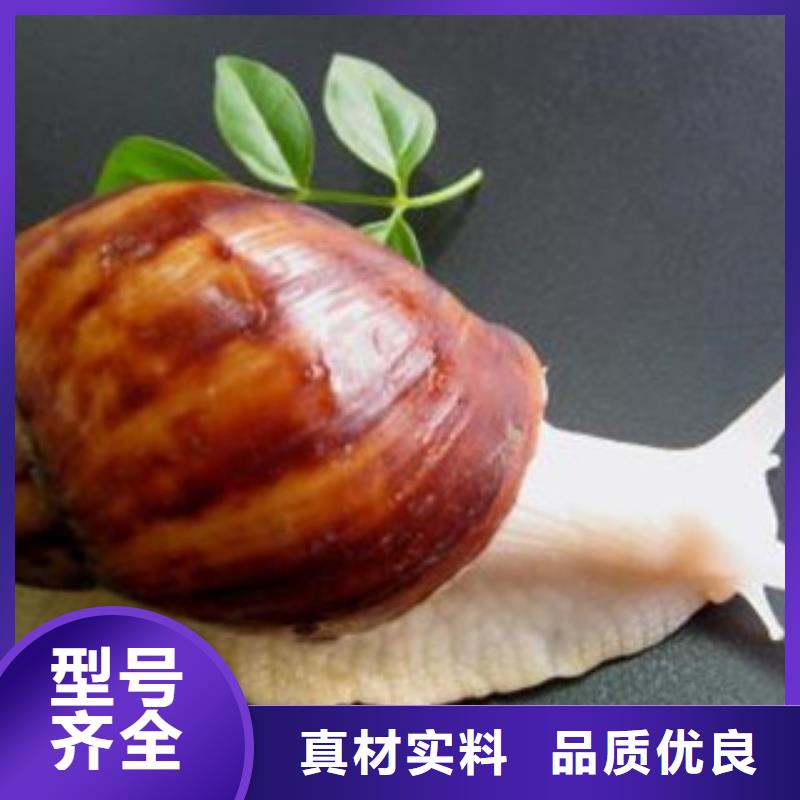 植物油-原厂质保
