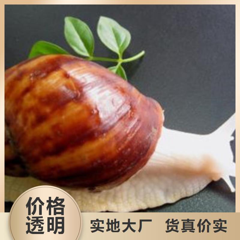 甄选：植物油供货商