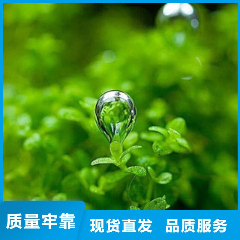批发植物油的厂家