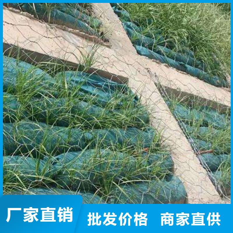 供应生态袋_精选厂家本地厂家