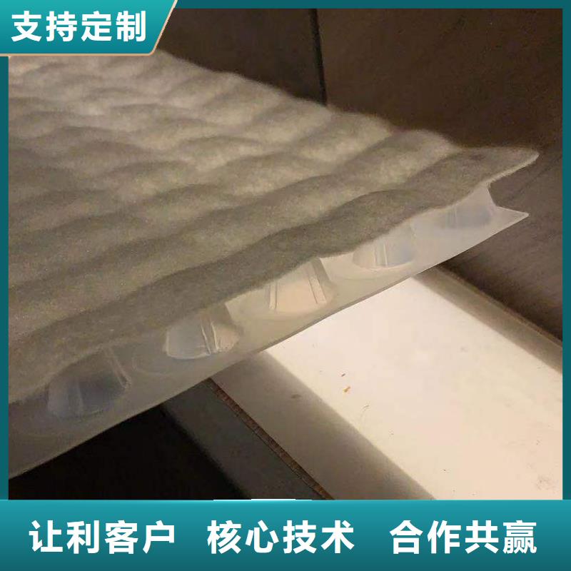 复合排水板货源足