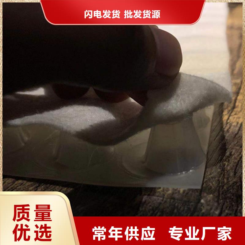 供应复合排水板的当地厂家