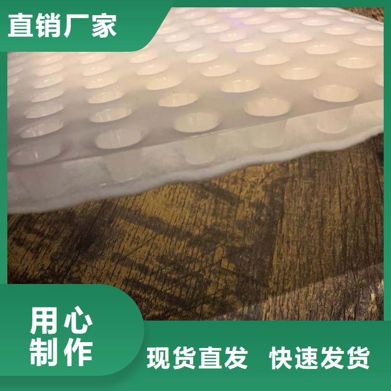 复合排水板专业配送