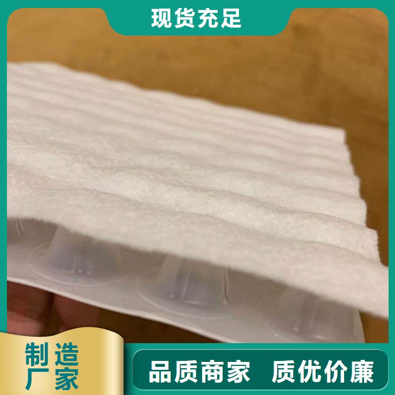 复合排水板-接受定制源头厂家
