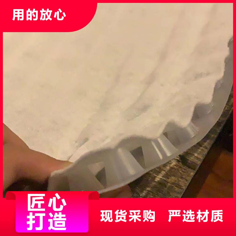 复合排水板货源足