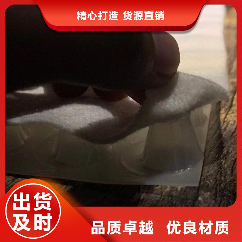 可定制的复合排水板现货厂家