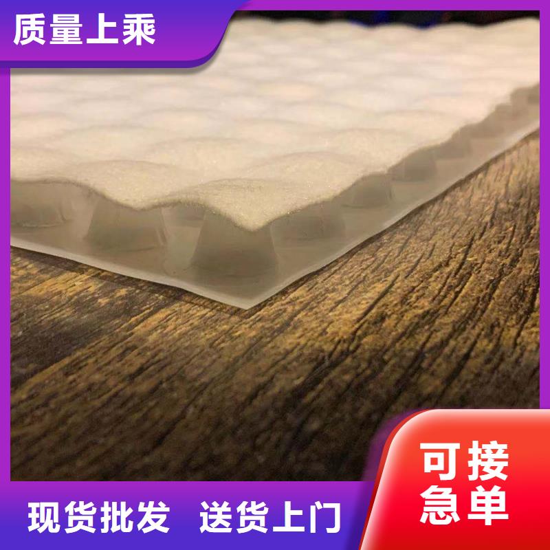 可定制的复合排水板现货厂家