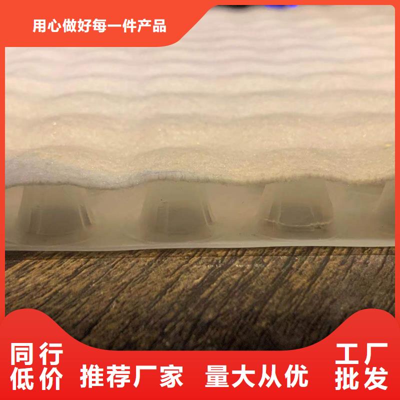 #复合排水板#-质量过硬