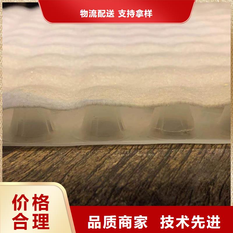 可定制的复合排水板现货厂家
