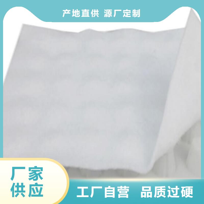 排水板优质供货厂家