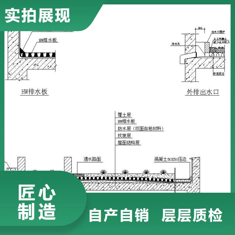 常年供应排水板-大型厂家