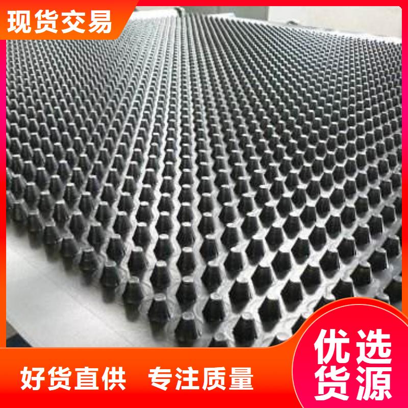 排水板质量可靠的厂家