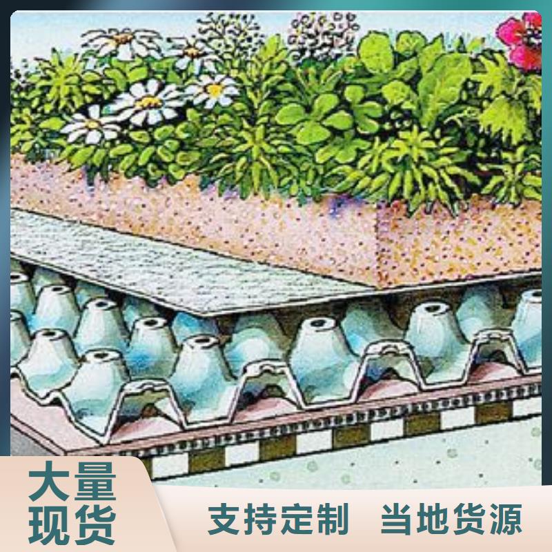 排水板-专注排水板十多年