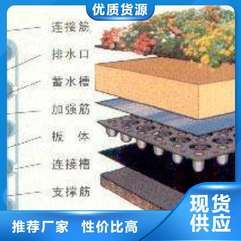 排水板质量可靠的厂家