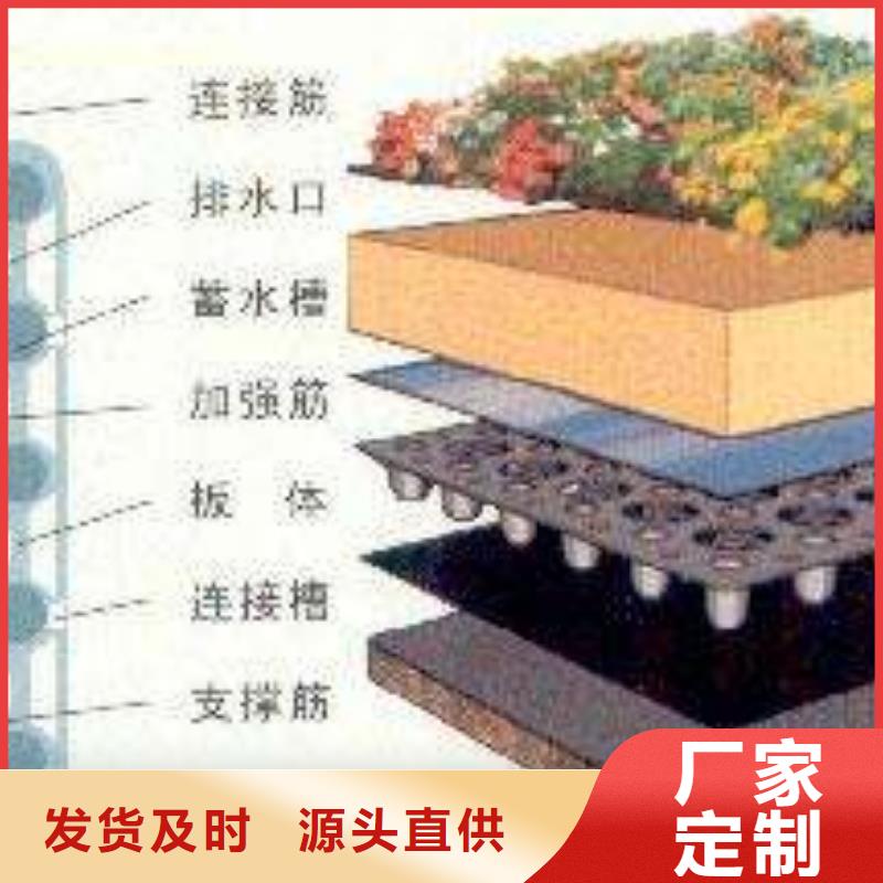 排水板-精选厂家