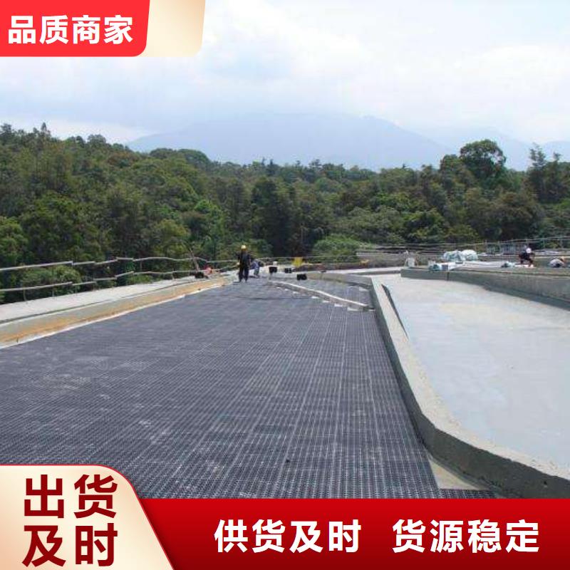 用户认可的排水板厂家