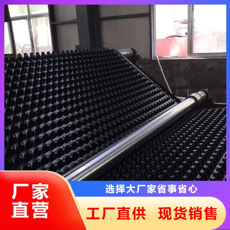 排水板价格实在的厂家