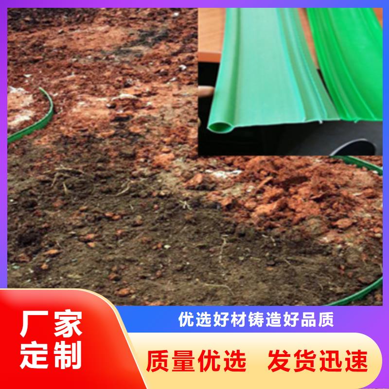 2025专注品质##草石隔离带##质量保证