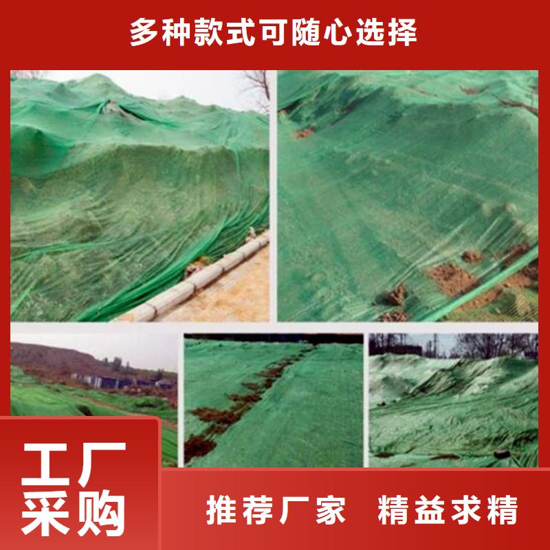 服务周到的防尘网批发商