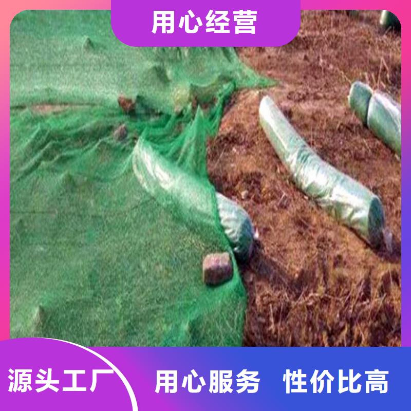 防尘网现货现发