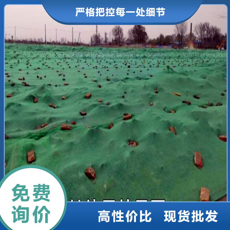 防尘网直销厂家