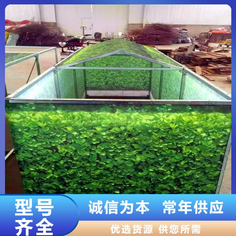 缠树带省心可靠