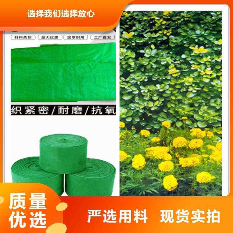 缠树带价格