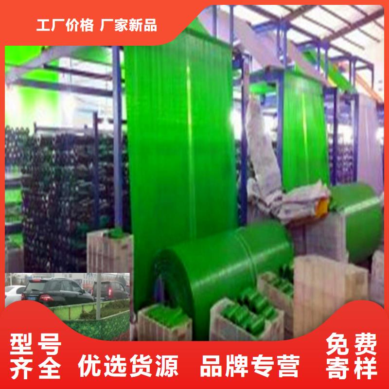 缠树带工厂直营