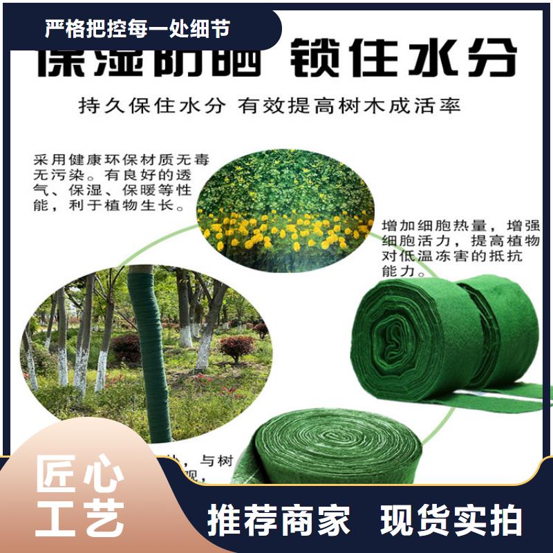 缠树带实体厂家质量有保障
