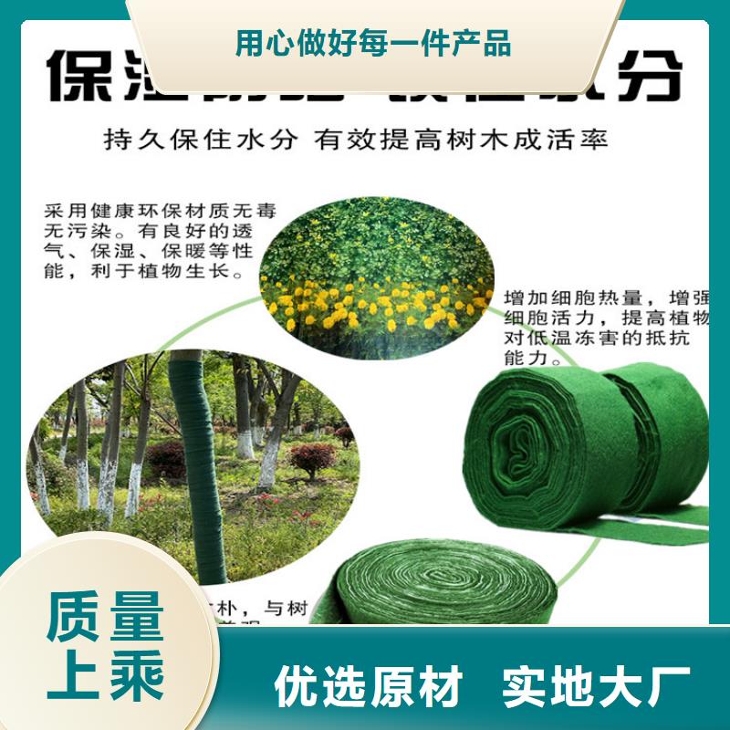缠树带价格_缠树带