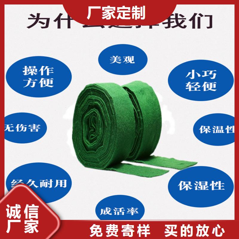买缠树带必看-图文介绍