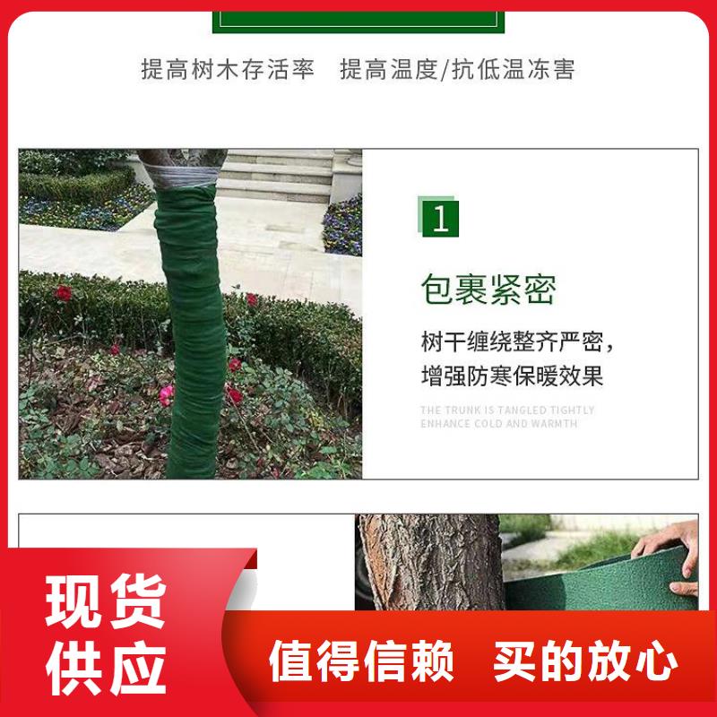 缠树带加工厂