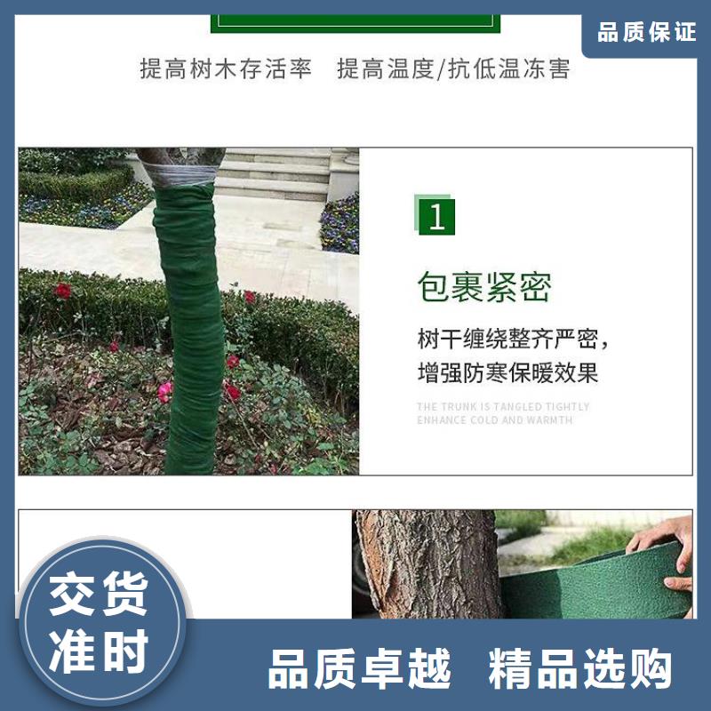 缠树带-信誉可靠