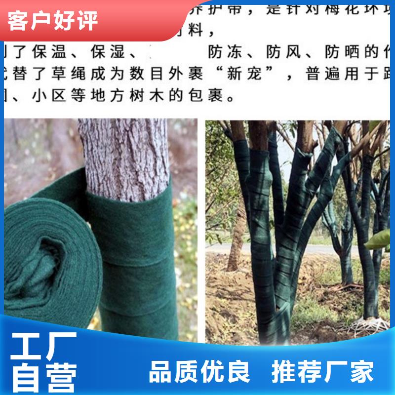 销售缠树带_优质厂家