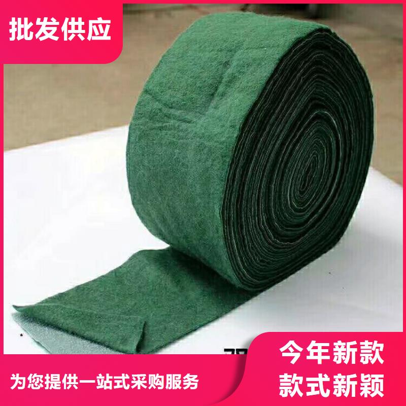 缠树带企业-让您放心