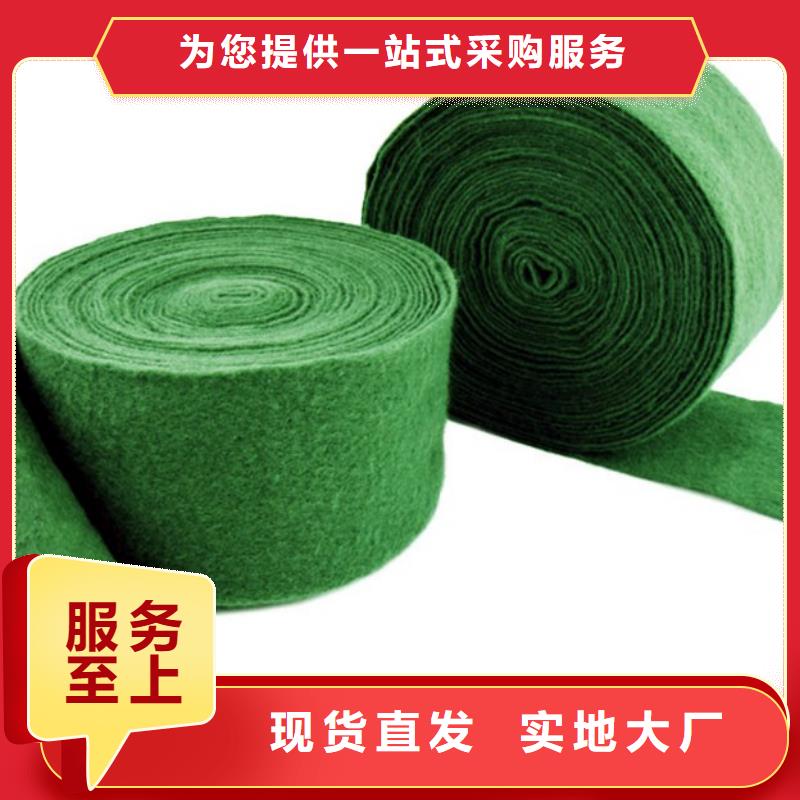 缠树带工厂直营