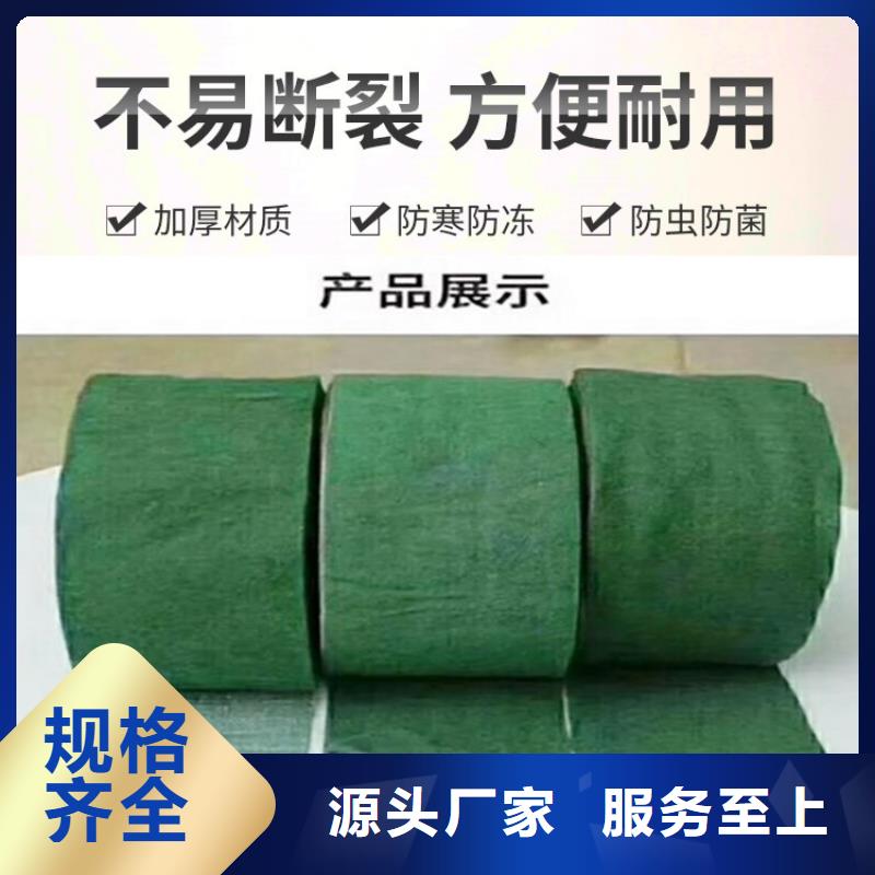 缠树带快速下单