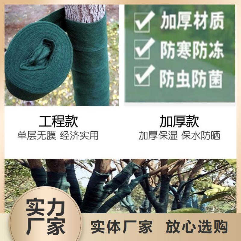 缠树带包邮