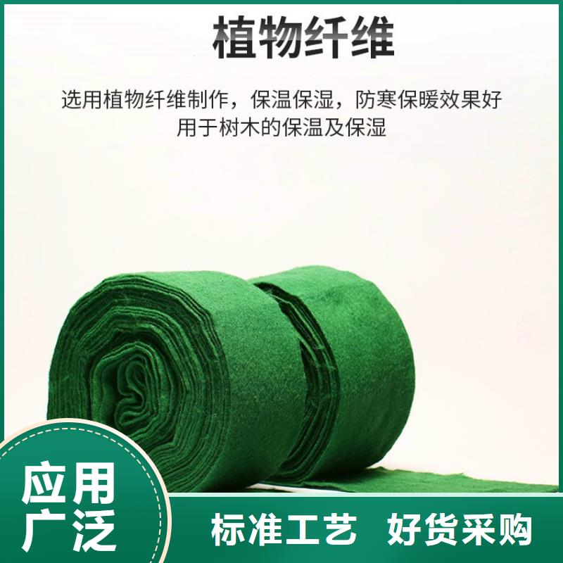买缠树带必看-值得信赖